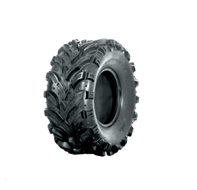 ШИНЫ DEESTONE 254/100 R12